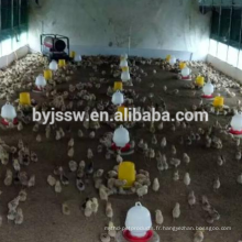 Meilleures mangeoires de volaille et des eaux pour les poulets (vente chaude)